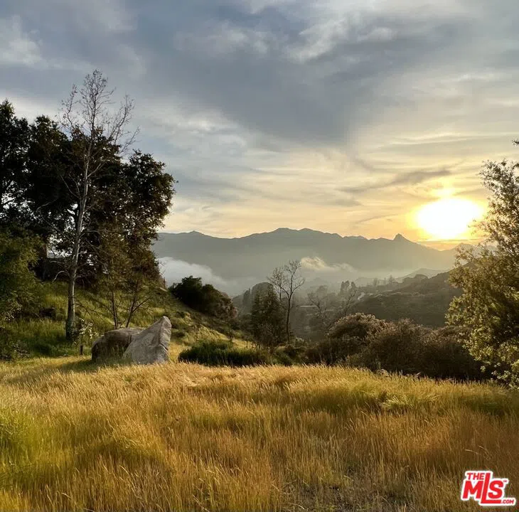 935 Cold Canyon Calabasas, CA 91302