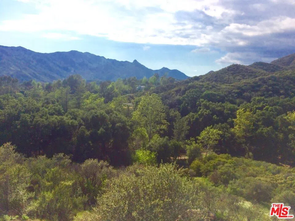 935 Cold Canyon Calabasas, CA 91302