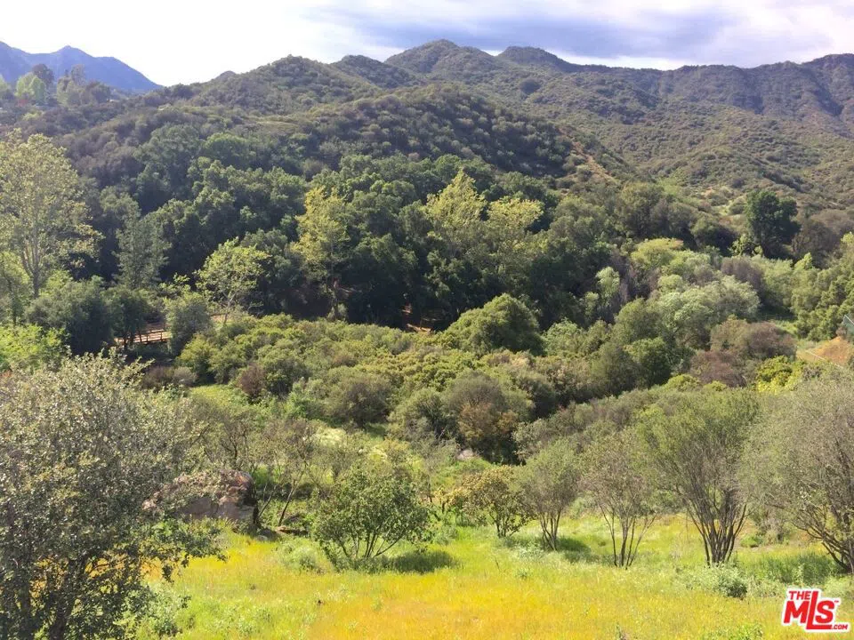 935 Cold Canyon Calabasas, CA 91302