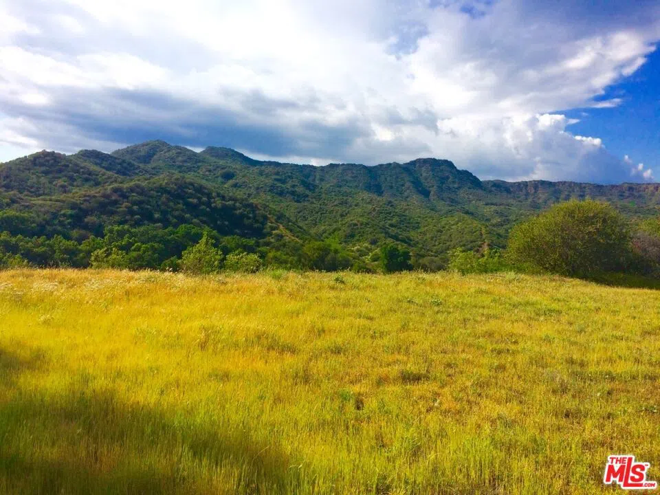 935 Cold Canyon Calabasas, CA 91302