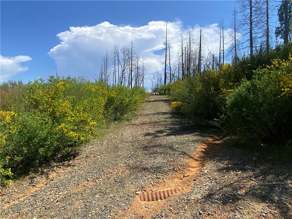 9 Jatko Road Berry Creek, CA 95916