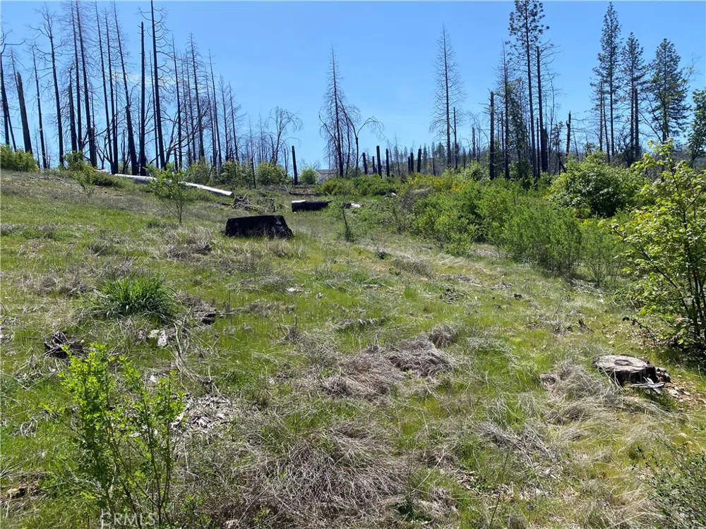 9 Jatko Road Berry Creek, CA 95916