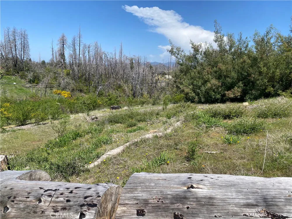 9 Jatko Road Berry Creek, CA 95916