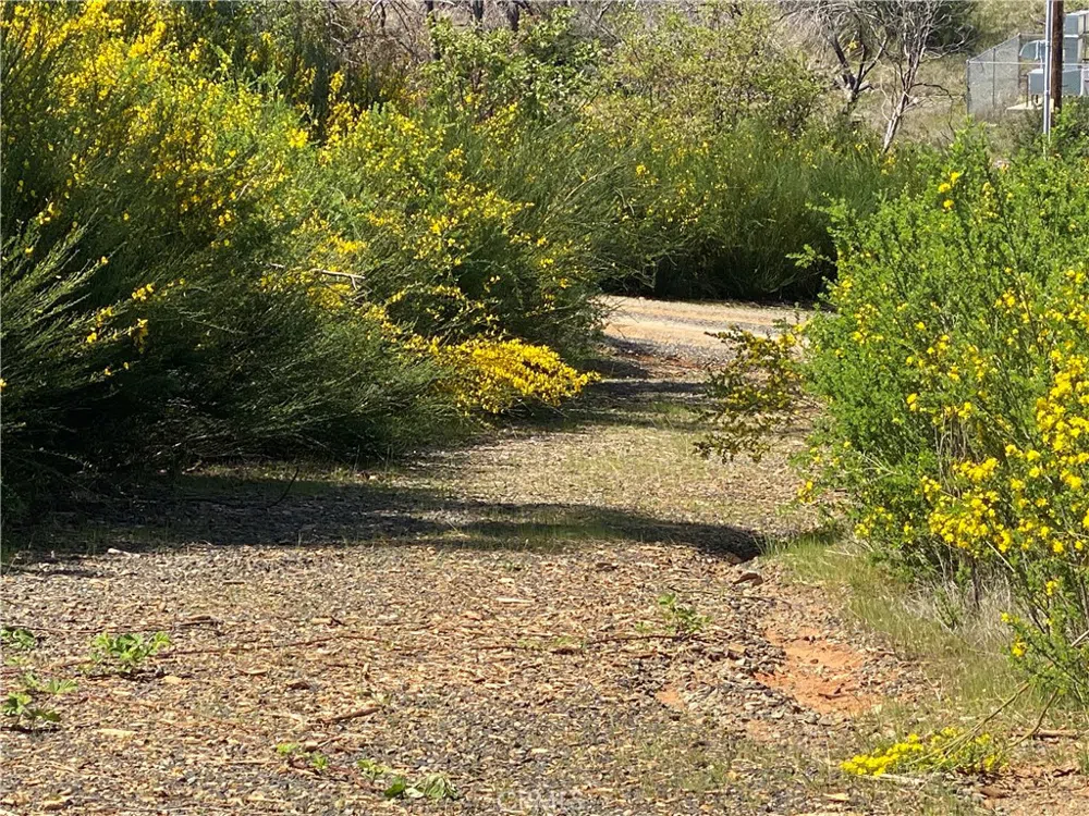 9 Jatko Road Berry Creek, CA 95916