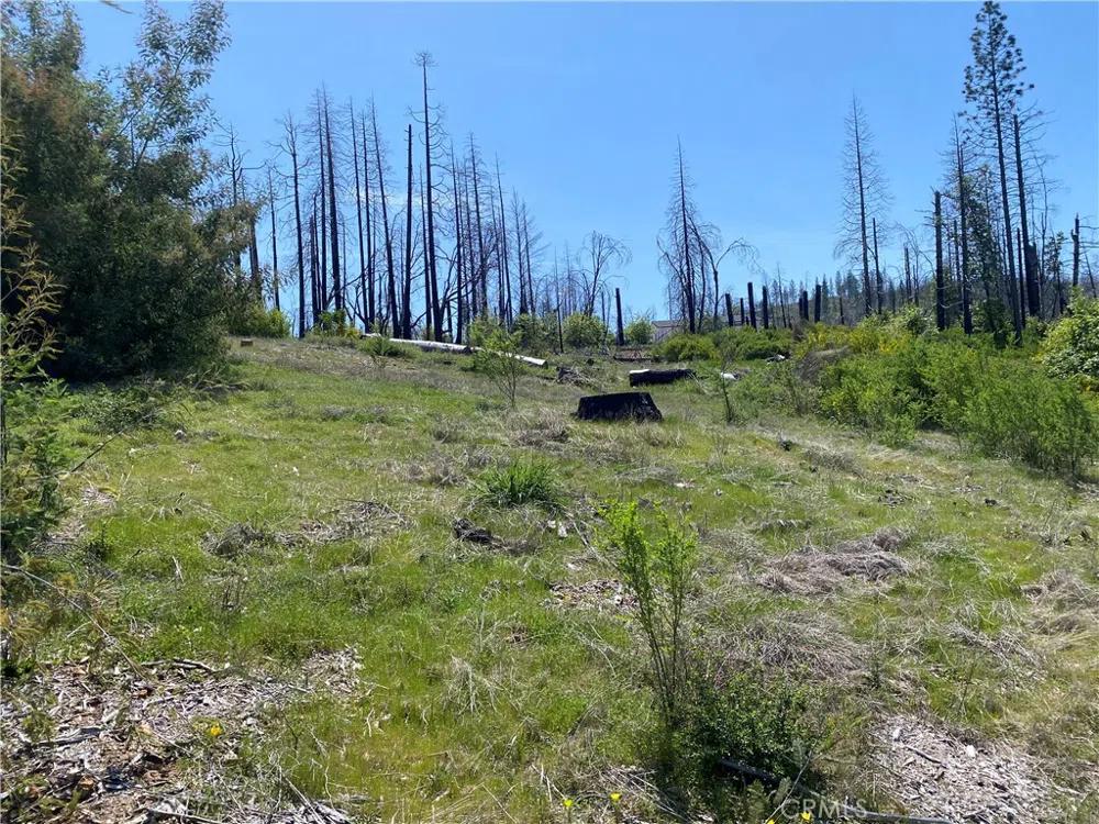 9 Jatko Road Berry Creek, CA 95916