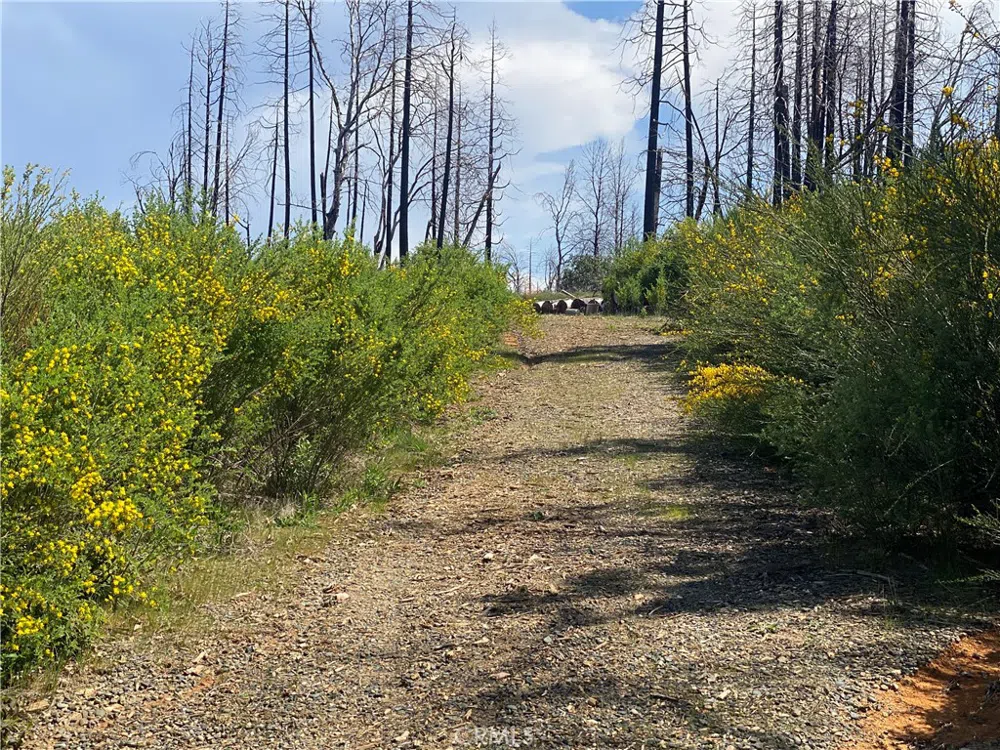 9 Jatko Road Berry Creek, CA 95916