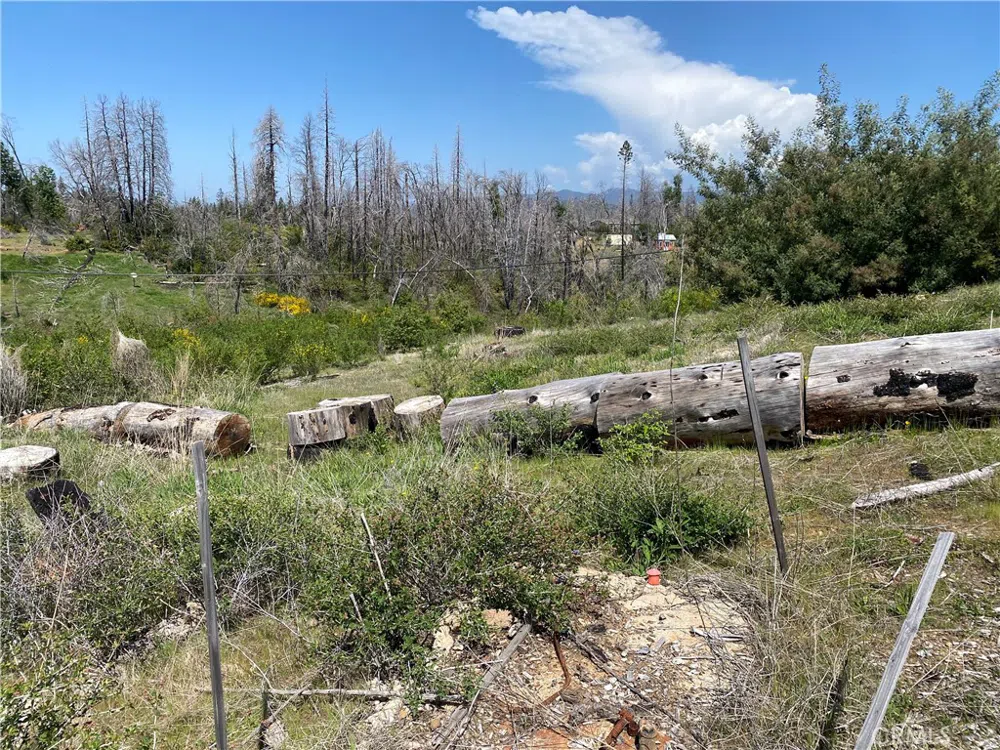 9 Jatko Road Berry Creek, CA 95916