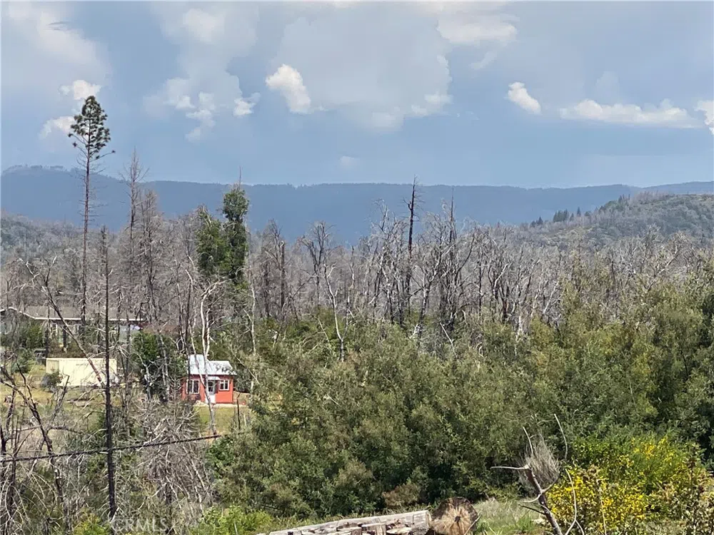 9 Jatko Road Berry Creek, CA 95916
