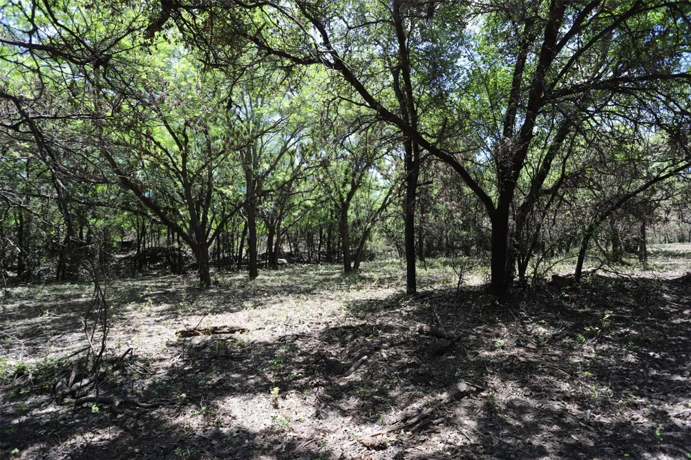 1485 County Road 224 Valley Mills, TX 76689