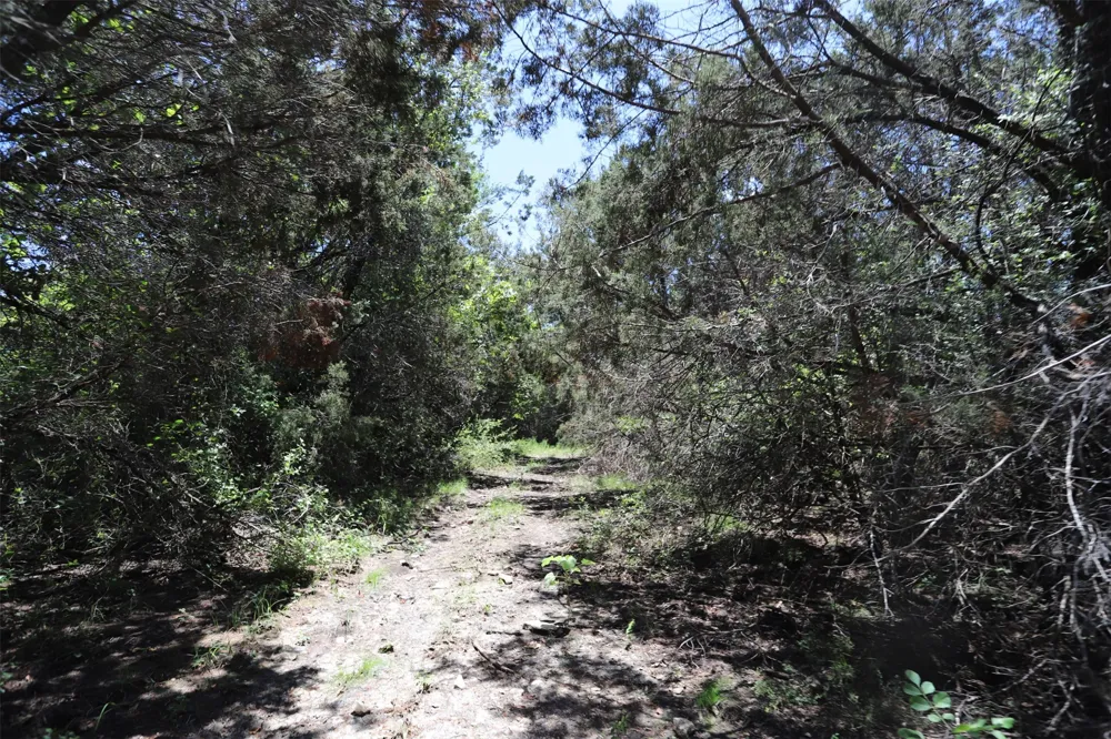 1485 County Road 224 Valley Mills, TX 76689