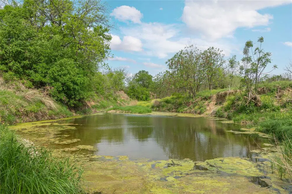 2030 FM 2525 Early, TX 76802
