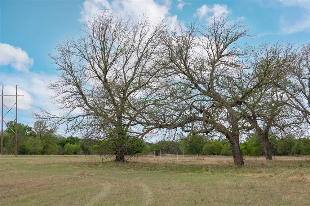 2030 FM 2525 Early, TX 76802
