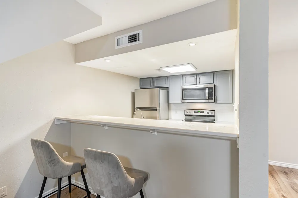 4640 Country Creek Drive ##1254 Dallas, TX 75236