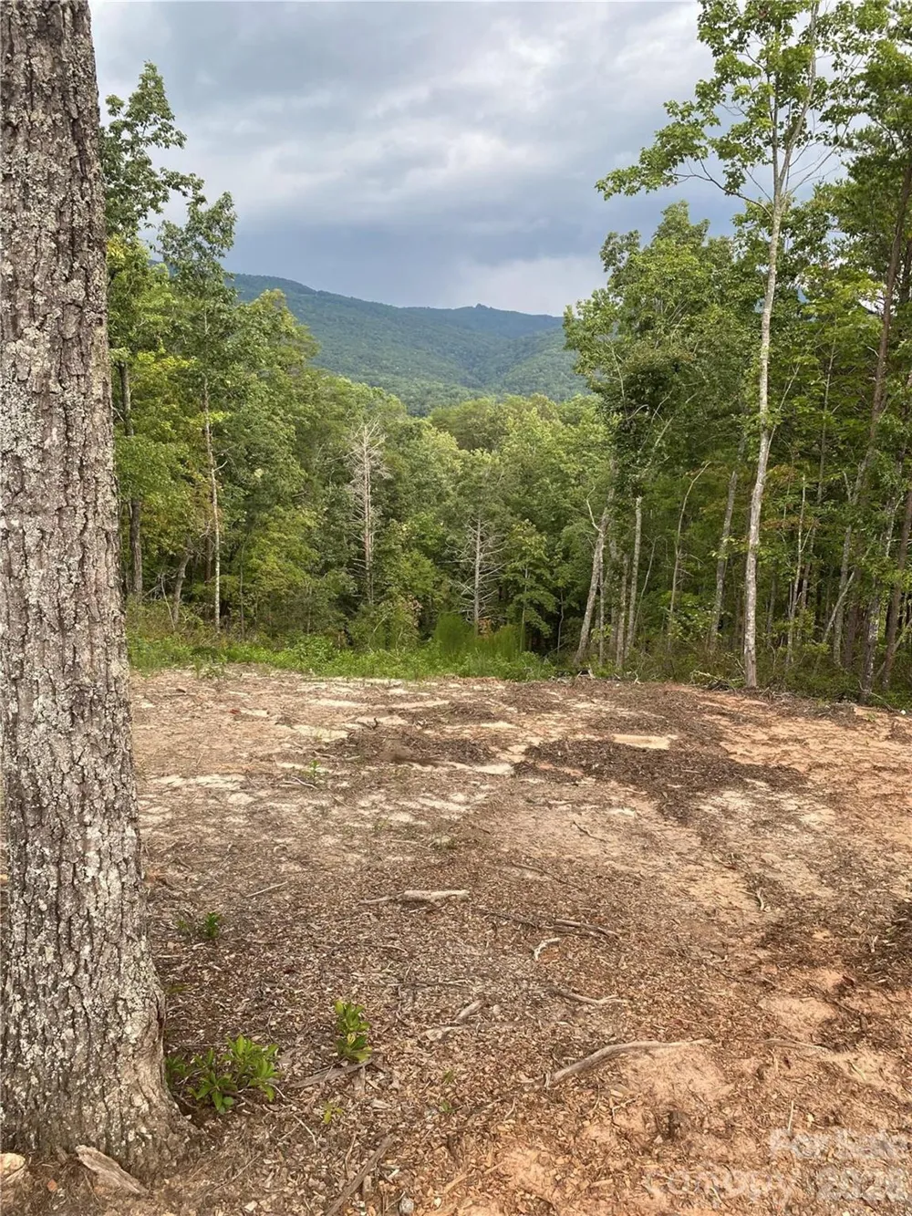 1 Jackson Ridge Lane Mill Spring, NC 28756