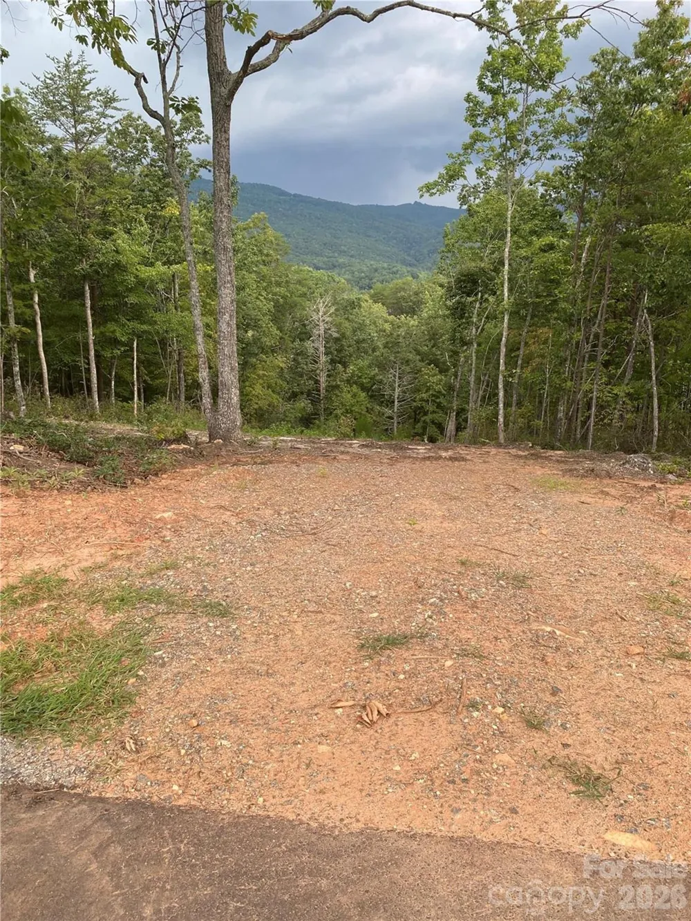 1 Jackson Ridge Lane Mill Spring, NC 28756