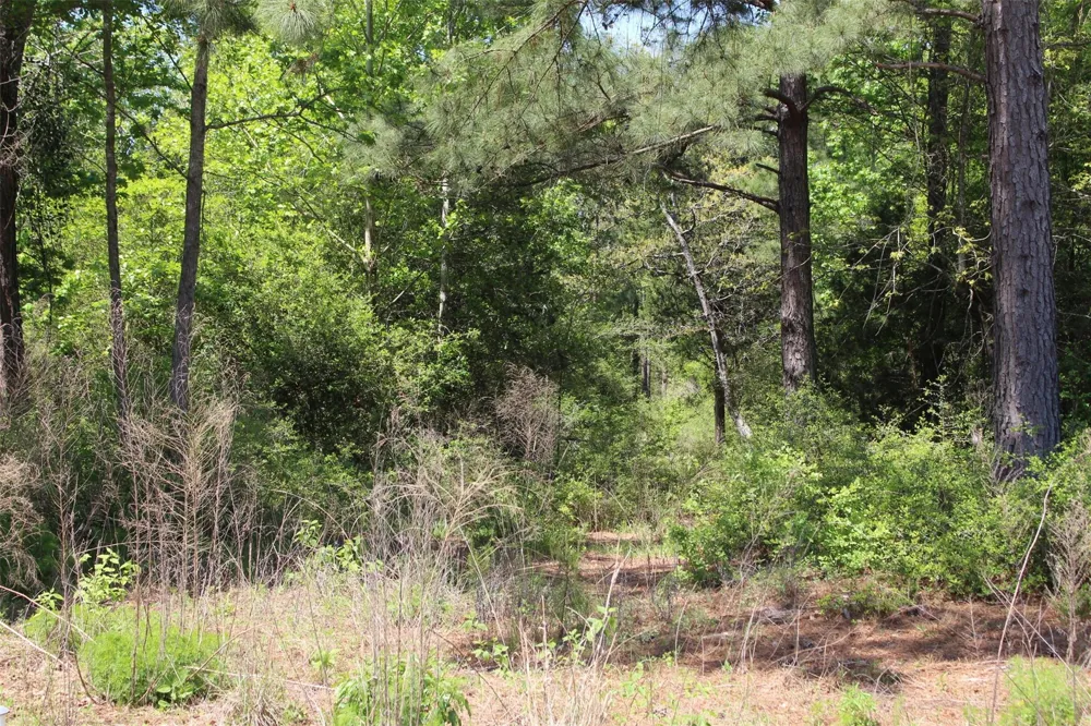 73 Private Road 1315 Centerville, TX 75833