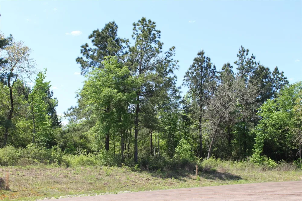 73 Private Road 1315 Centerville, TX 75833