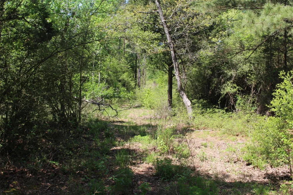 73 Private Road 1315 Centerville, TX 75833