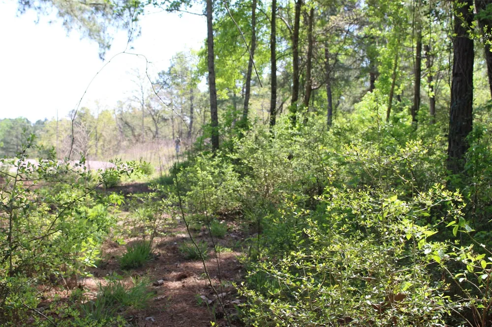 73 Private Road 1315 Centerville, TX 75833
