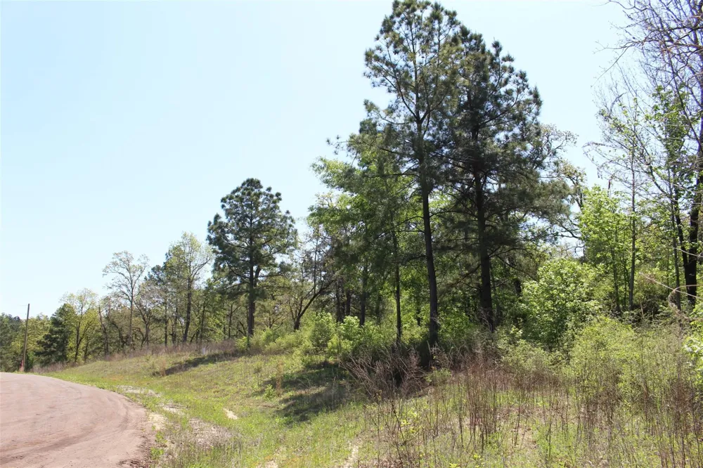 73 Private Road 1315 Centerville, TX 75833