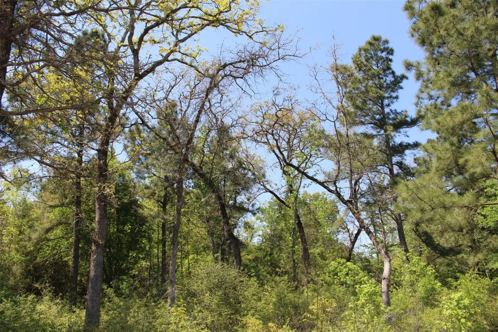 73 Private Road 1315 Centerville, TX 75833