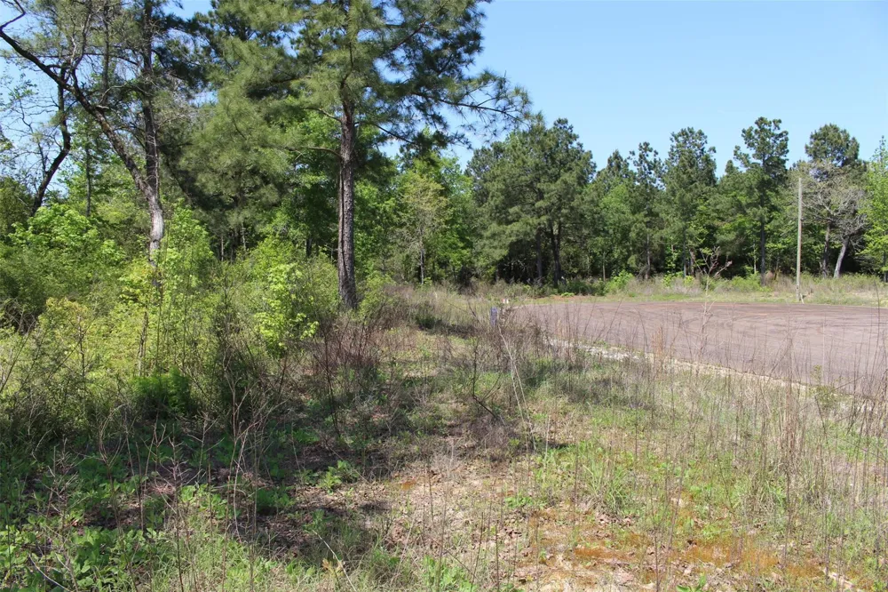 73 Private Road 1315 Centerville, TX 75833