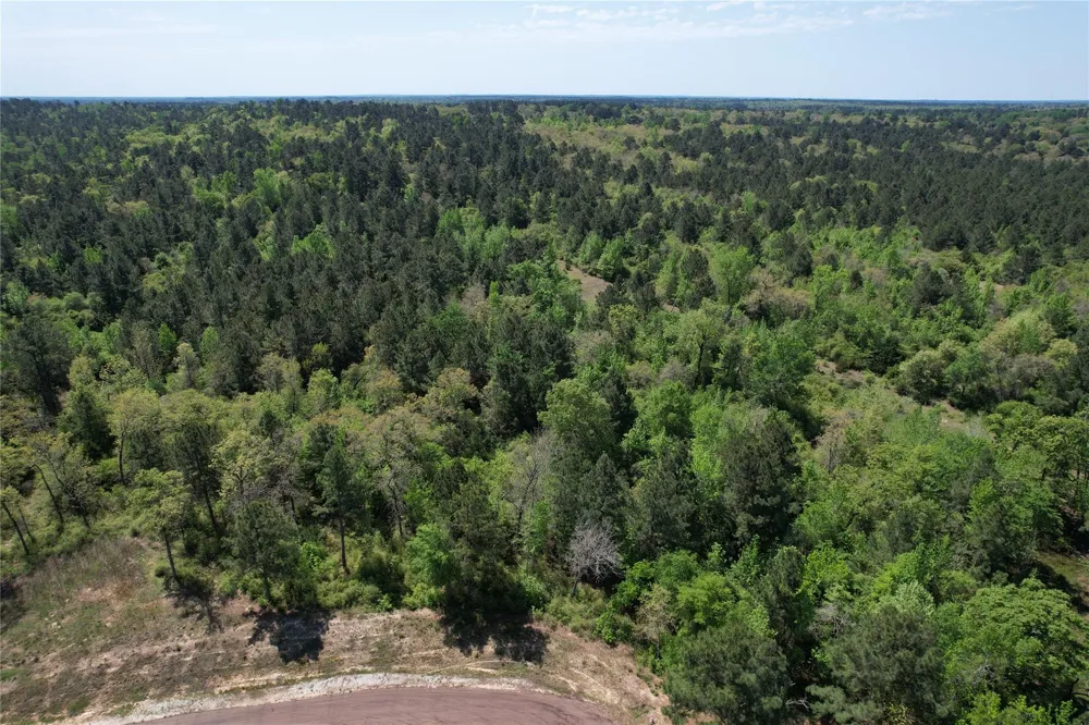 73 Private Road 1315 Centerville, TX 75833