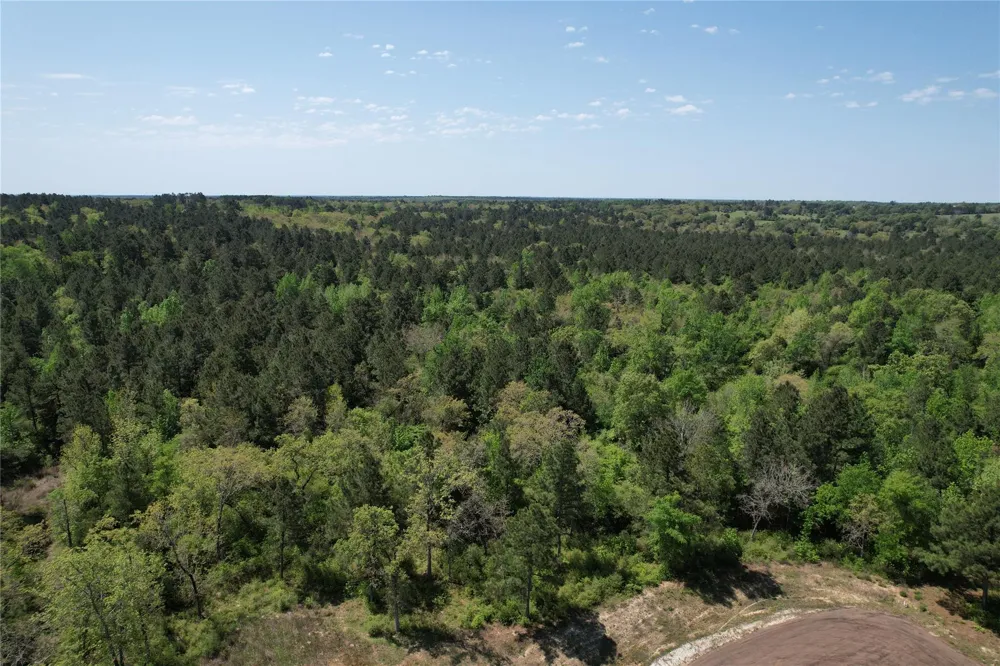73 Private Road 1315 Centerville, TX 75833