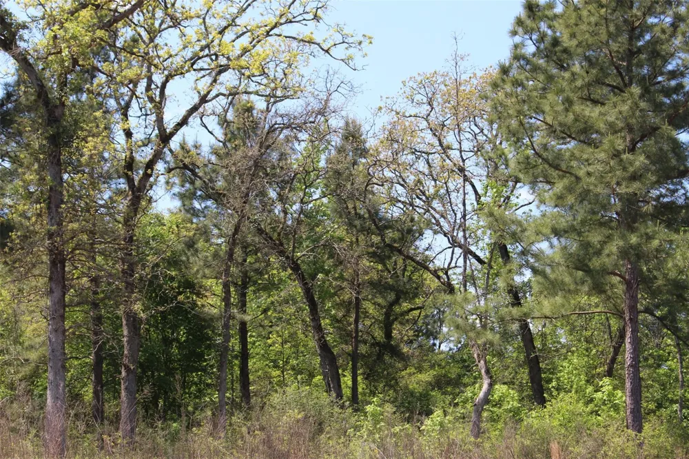 73 Private Road 1315 Centerville, TX 75833