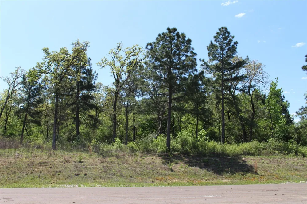 73 Private Road 1315 Centerville, TX 75833