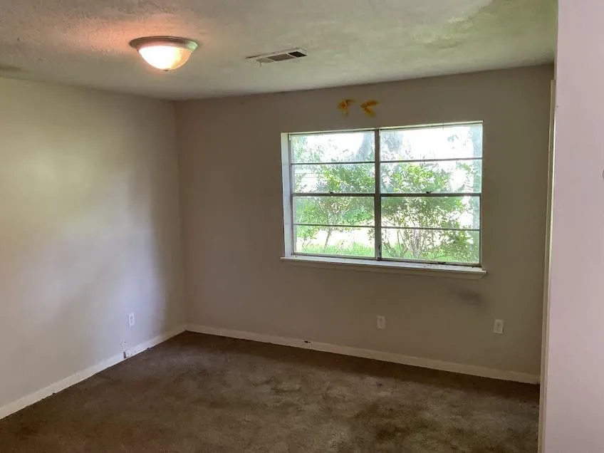 19847 County Road 319 Brazoria, TX 77422