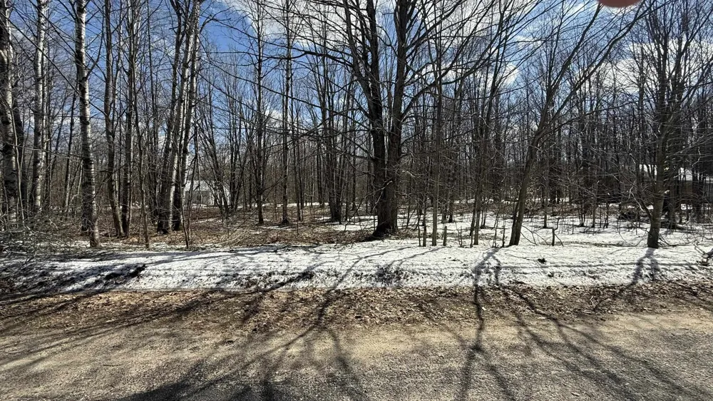 Northridge Drive Mancelona Township, MI 49659