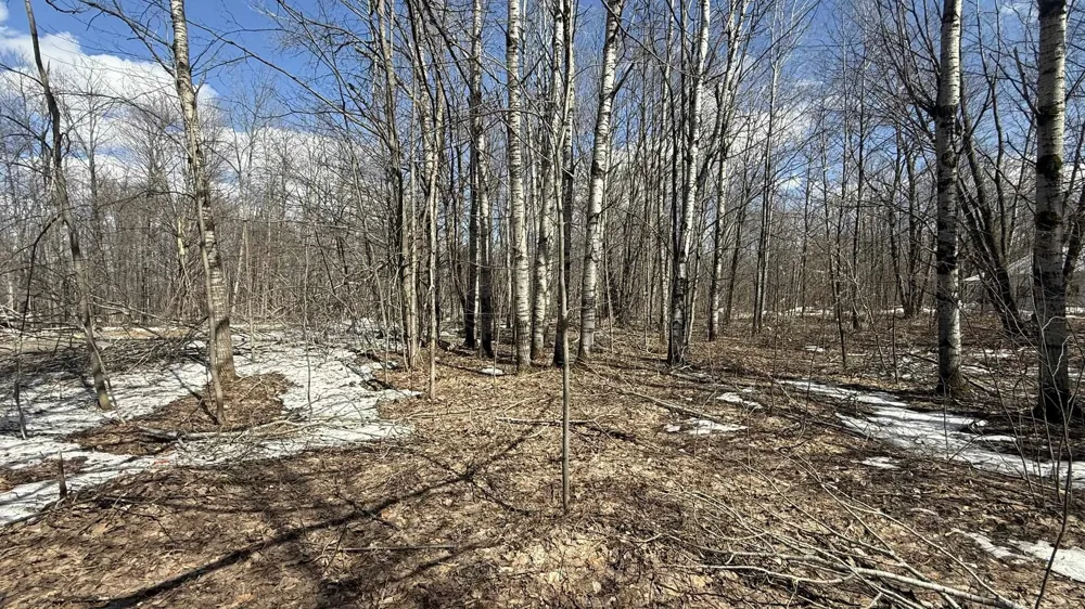 Northridge Drive Mancelona Township, MI 49659