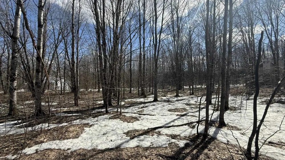 Northridge Drive Mancelona Township, MI 49659