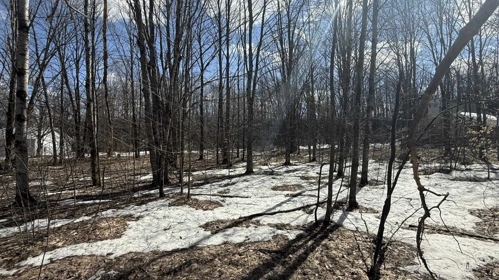 Northridge Drive Mancelona Township, MI 49659