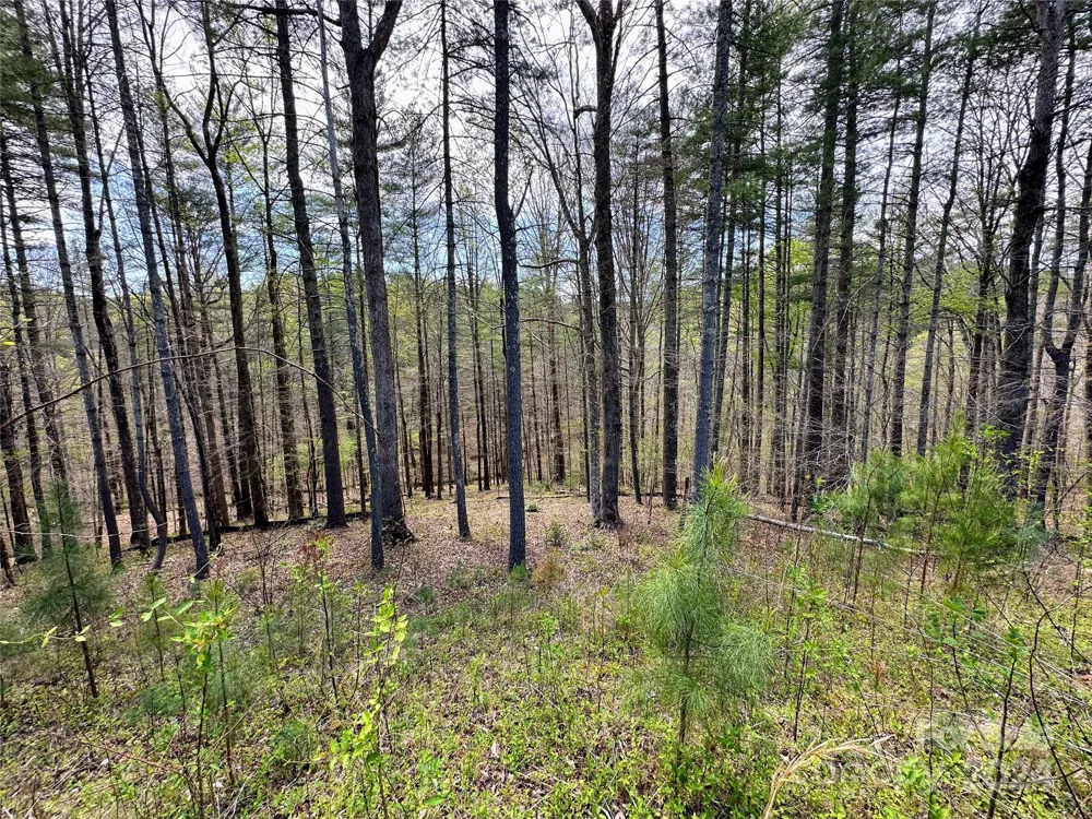 234 E Settings Boulevard NW #67 Valdese, NC 28609