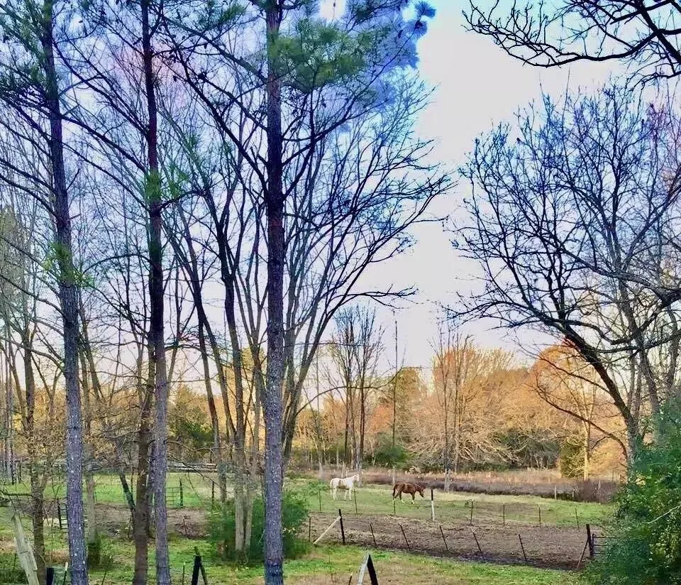 5755 Railroad ST Williston, TN 38076