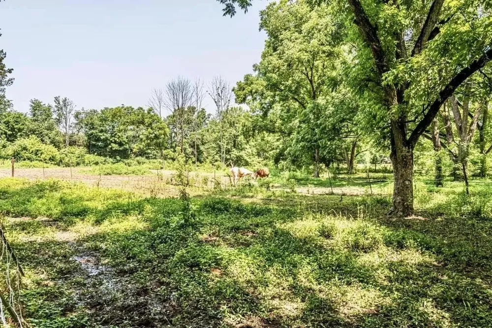 5755 Railroad ST Williston, TN 38076
