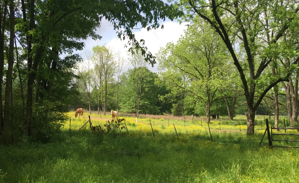 5755 Railroad ST Williston, TN 38076