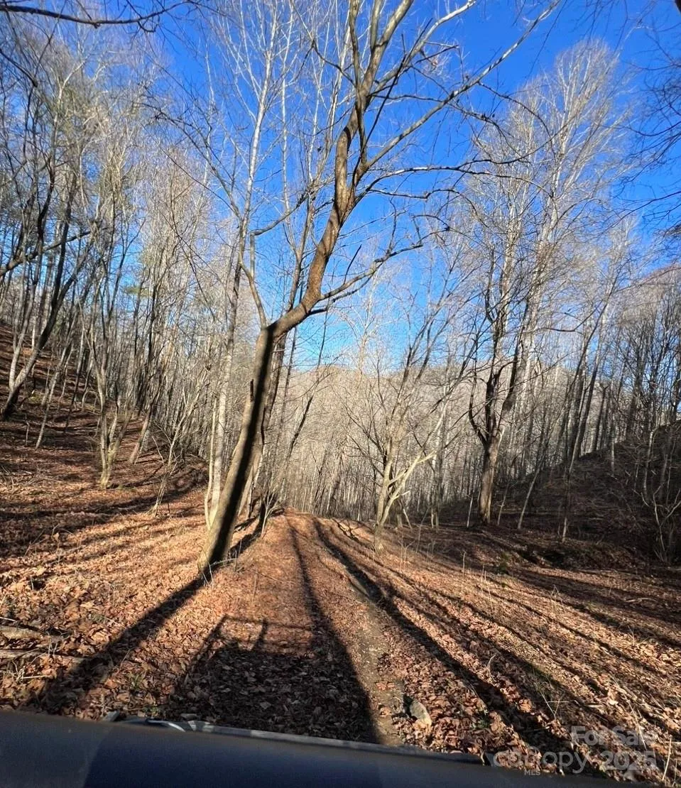 12982 US 19W Highway Burnsville, NC 28714