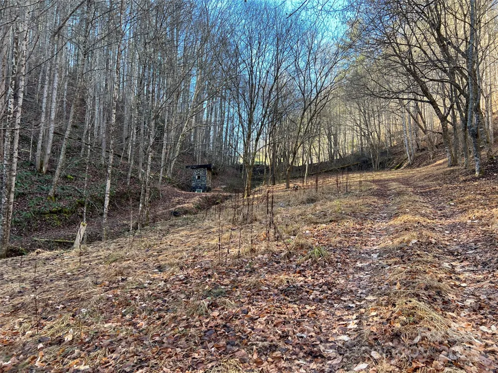 12982 US 19W Highway Burnsville, NC 28714