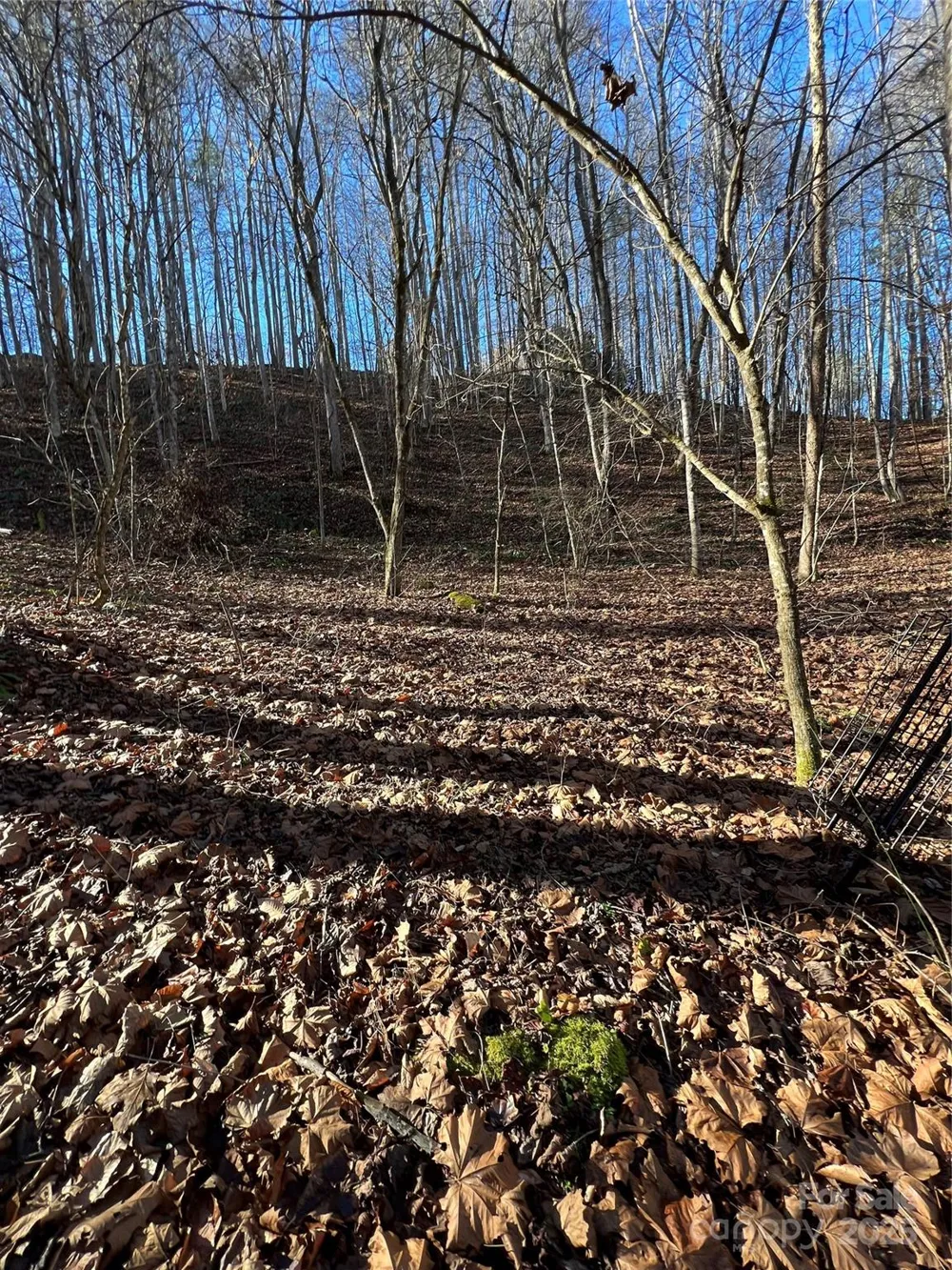 12982 US 19W Highway Burnsville, NC 28714