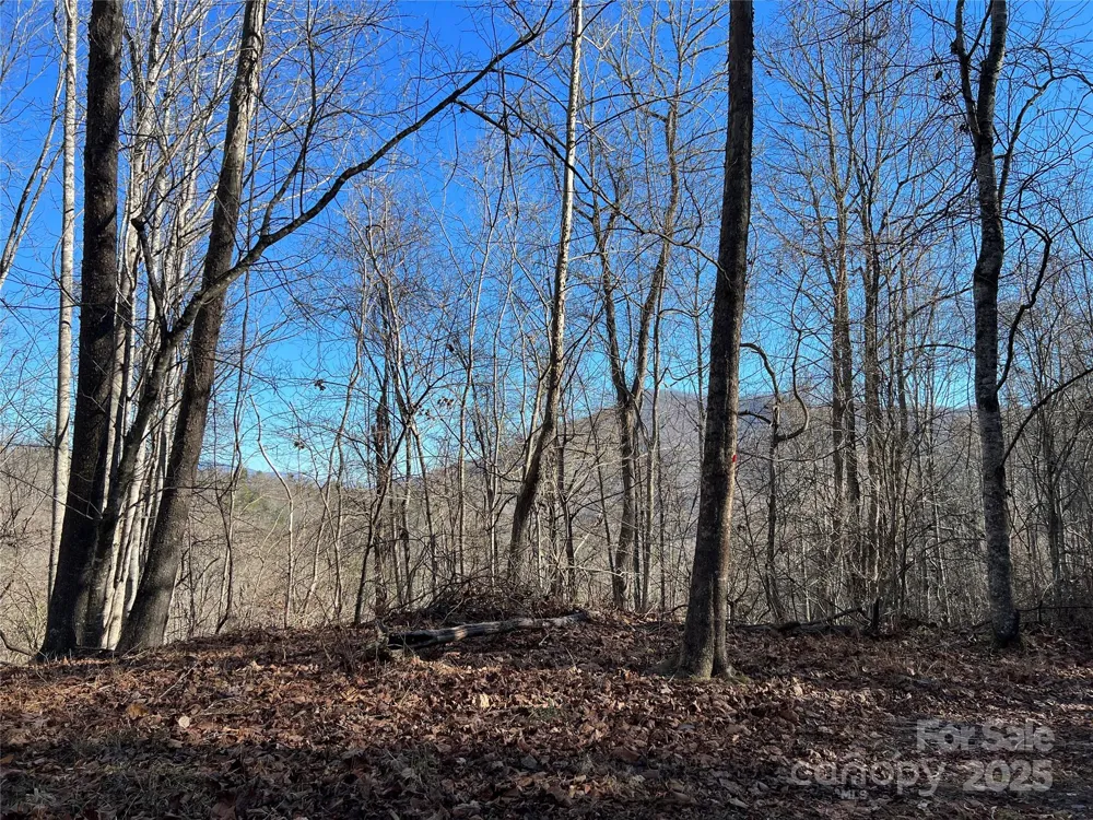 12982 US 19W Highway Burnsville, NC 28714
