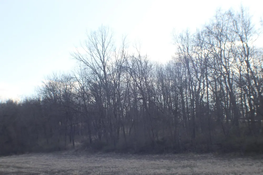 xxxxB Kings Park Road NW Oronoco, MN 55960