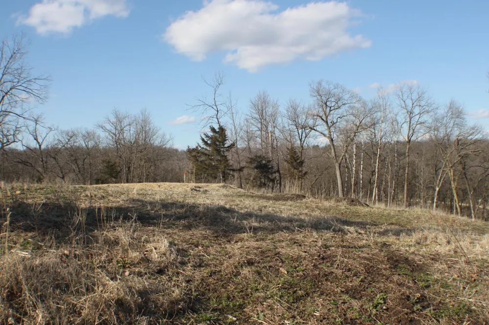 xxxxB Kings Park Road NW Oronoco, MN 55960