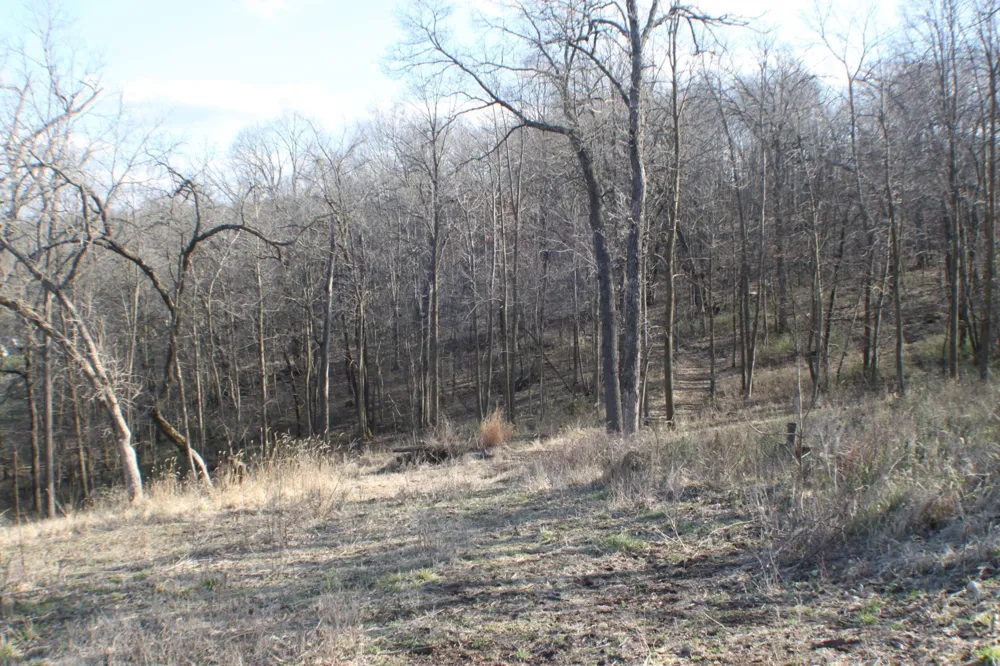 xxxxB Kings Park Road NW Oronoco, MN 55960