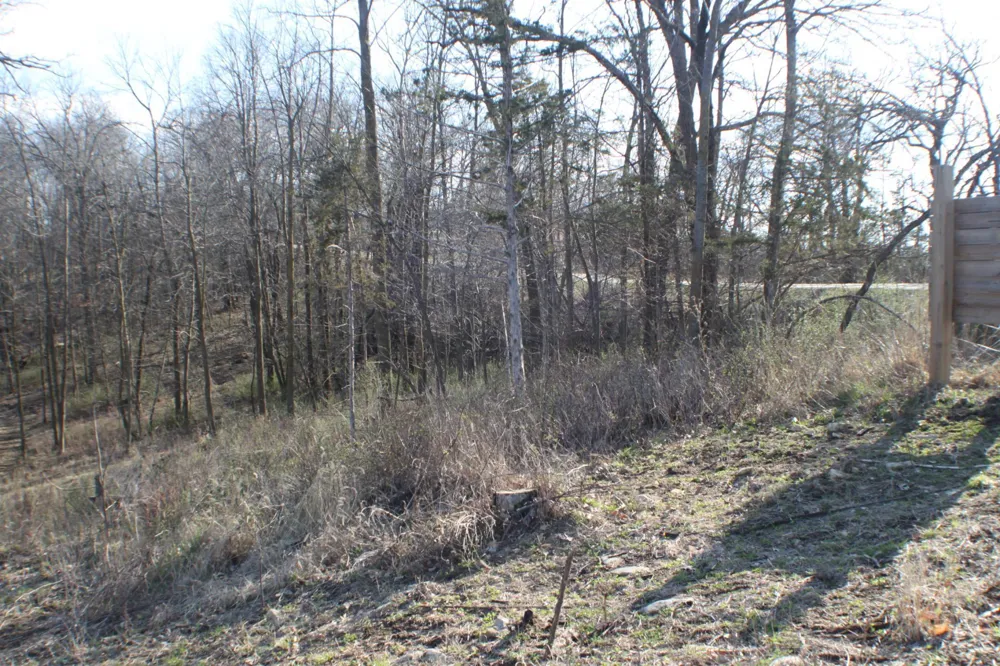 xxxxB Kings Park Road NW Oronoco, MN 55960