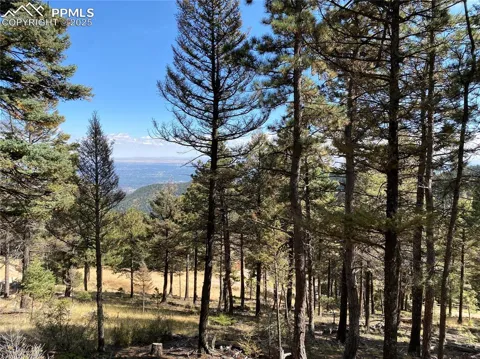 342 Ponderosa View