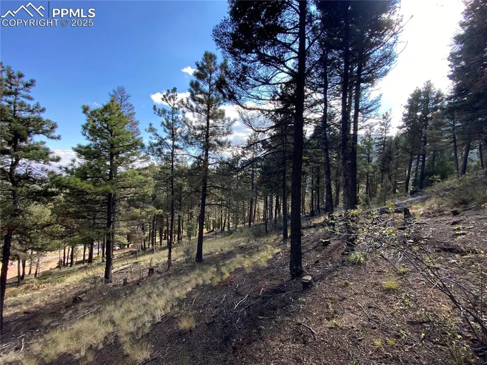 342 Ponderosa View Manitou Springs, CO 80829