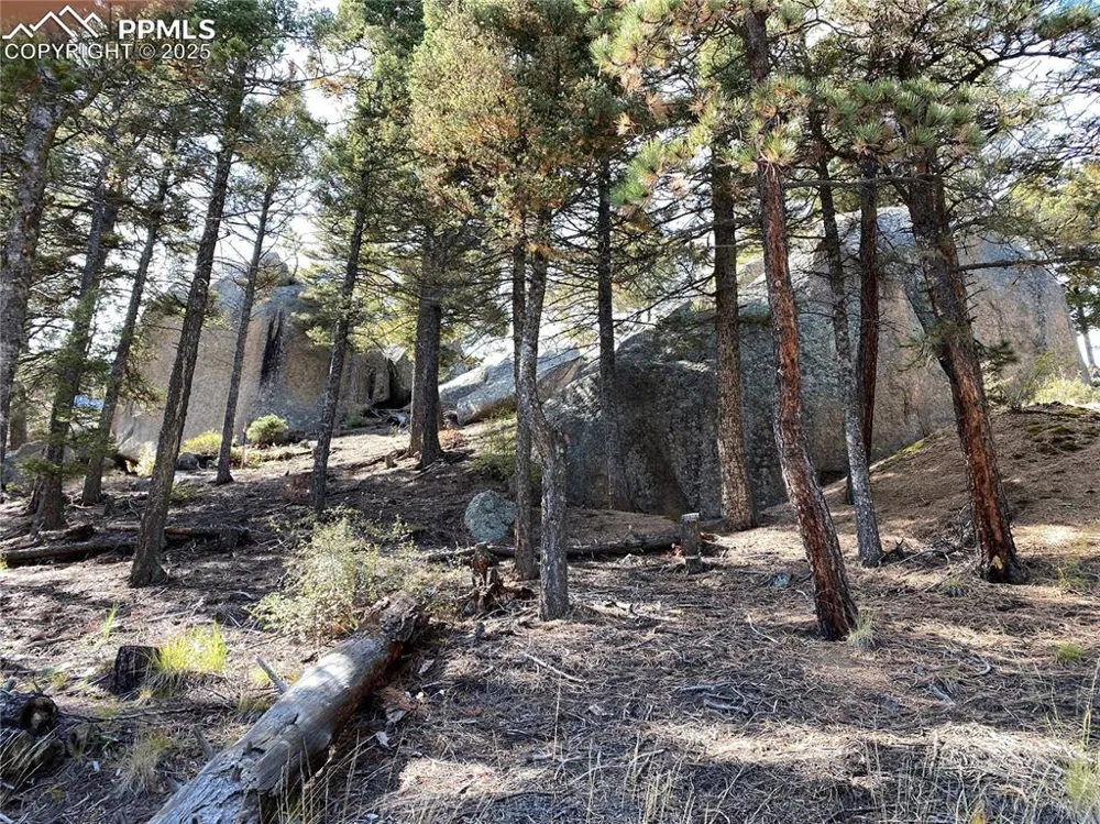 342 Ponderosa View Manitou Springs, CO 80829